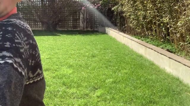 Challenge Jasper 2 Silly World Records смотреть онлайн