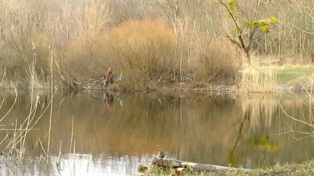 Всесвятское 7-8.03. 20г. Бунгало. смотреть онлайн