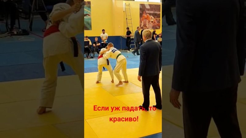 Улетел на иппон