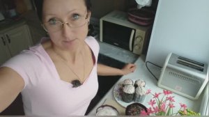 Привет с подоконника 19 апреля 2025 года