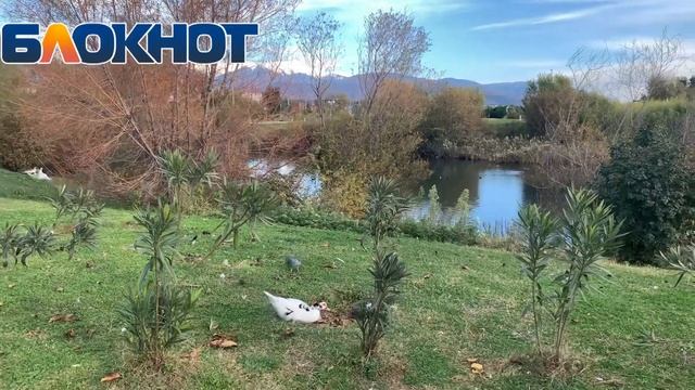 Орнитологический парк в Имеретинской низменности