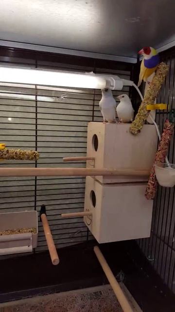 16 февраля 2016 г. смотреть онлайн