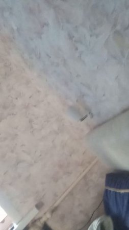 1000001141.mp4
