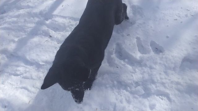 VID_20250419_104553.mp4 смотреть онлайн