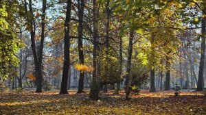 Земля в сверхчетком изображении (4K HDR) | Эпическая подборка красоты Земли в формате Dolby Vision