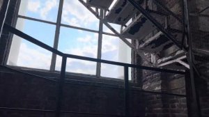 Питер с высоты птичьего полета. Смольный и Исаакиевский соборы.