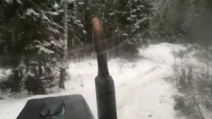 Таскаю лес с делянки на МТЗ - 82