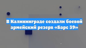 В Калининграде создали боевой армейский резерв «Барс 39»