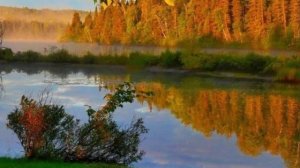 Владимир Швецов - "На лавочке у пруда"