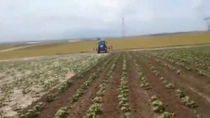 Междурядный фрезерный культиватор TOSCANO модель FCYT-07