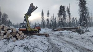 погрузка лесовоза челюстным погрузчиком