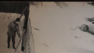 И еще Смотрел я сквозь решетку дома своего