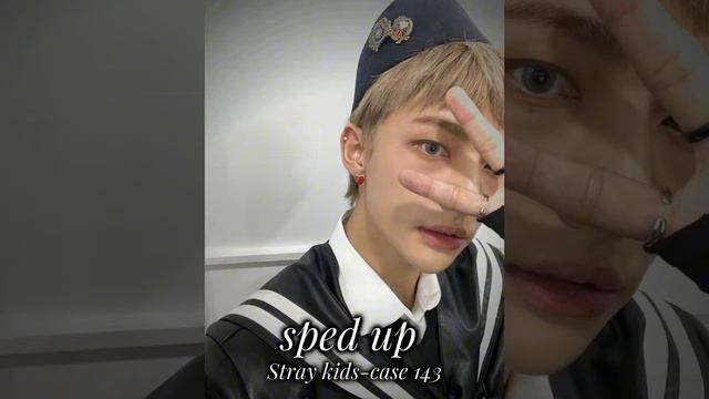 sped up Stray kids-case 143 смотреть онлайн