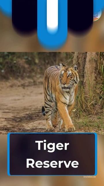 Current Affairs I Tiger Reserve In India I The Online Guru by Sunil Sharma I WhatsApp :- 7737653468 смотреть онлайн