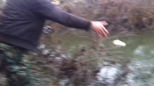 Риболов на река Струма в Гърция смотреть онлайн