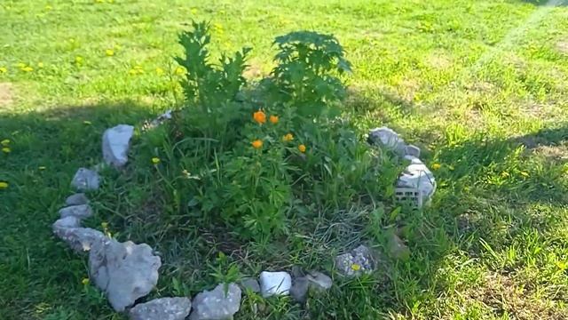 Доброе утро. Хорошего дня. смотреть онлайн