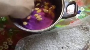 замачивание семян тыквы перед посадкой рост рассада Бизнес идеи #замачивание #семян #тыквы