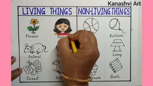 LIVING THINGS AND NON-LIVING THINGS science project drawing/POSTER ON Living and Non-living things