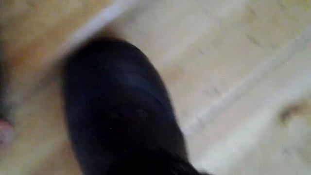 НАШЕЛ ТЕЛЕФОН РЕАЛЬНО. смотреть онлайн