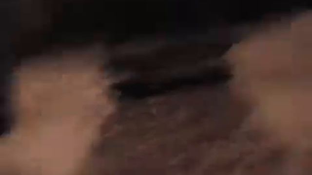 2002 Mont-Saint-Anne Ski Trip Video смотреть онлайн