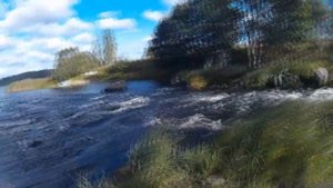 Озеро Любимовское. Сентябрь 2017.