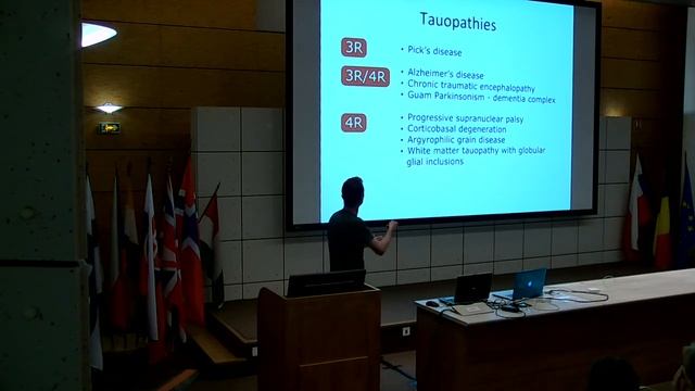 20170706 02 scheres смотреть онлайн