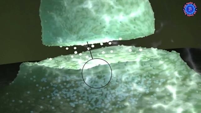 महिलाओं में Calcium की कमी के कारण और उपाय | Symptoms of Calcium Deficiency कैल्शियम की कमी के लक्ष смотреть онлайн