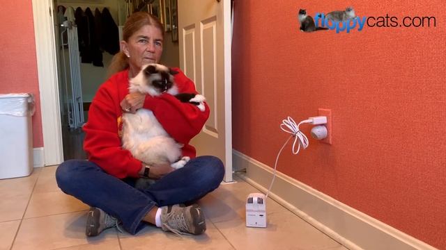 Best Air Freshener for Cats: CritterZone Air Naturalizer Product Review смотреть онлайн