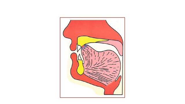 Урок 12 смотреть онлайн
