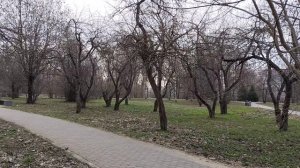 Пою в парке для вас!!!Я в весеннем лесу...