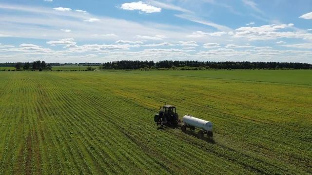 Подкормка смотреть онлайн