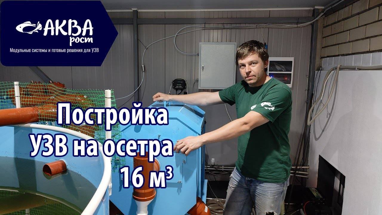 Как построить УЗВ для осетра на 16 кубов воды #узв #акварост #бизнесвдеревне смотреть онлайн