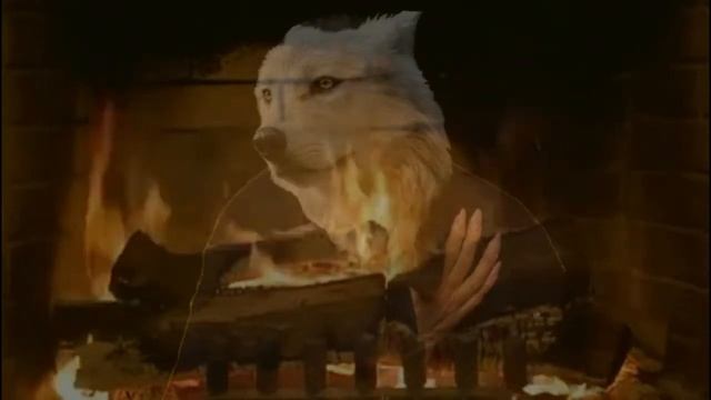 Hunger (Arthur Rimbaud) - John Cale & Vincent Kenis смотреть онлайн