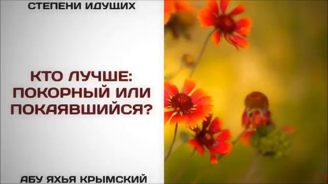 Кто лучше - покорный или покаявшийся  Абу Яхья Крымский