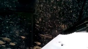 Фронтальный погрузчик "Фронтлифт 800" с еврорамкой под рабочие органы МF. На тракторе YTO 904.