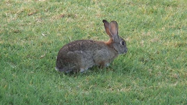 Own it 4 Start_it_9_1 смотреть онлайн