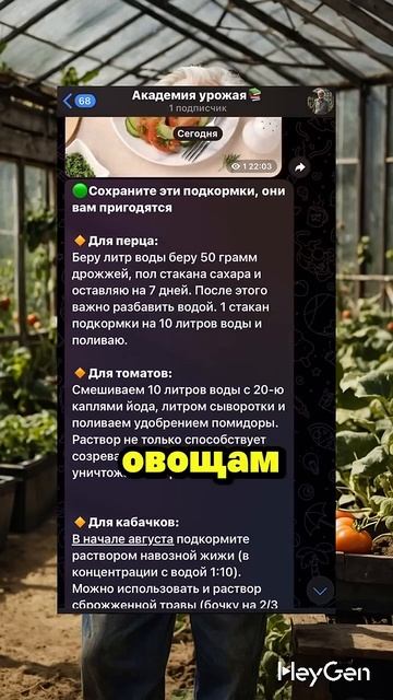 🌱Как выгнать тлю из сада?  #огород #огородкруглыйгод #сад #садогороддача #урожай #садовод