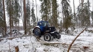 мтз 82. В лесу зимой.