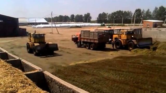 Агрофирма АНК, ЖВК МилАНКа...
