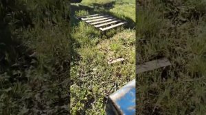 Плуг ПШУ-8 Контактор экспресс-обзор от Андрея Абросимова