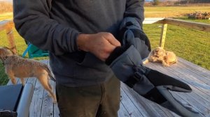 Carhartt Men's W P  Waterproof Insulated Glove Review, Carhartt Winter Gloves Bring RUGGED WARMTH