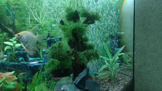 мой травник смотреть онлайн