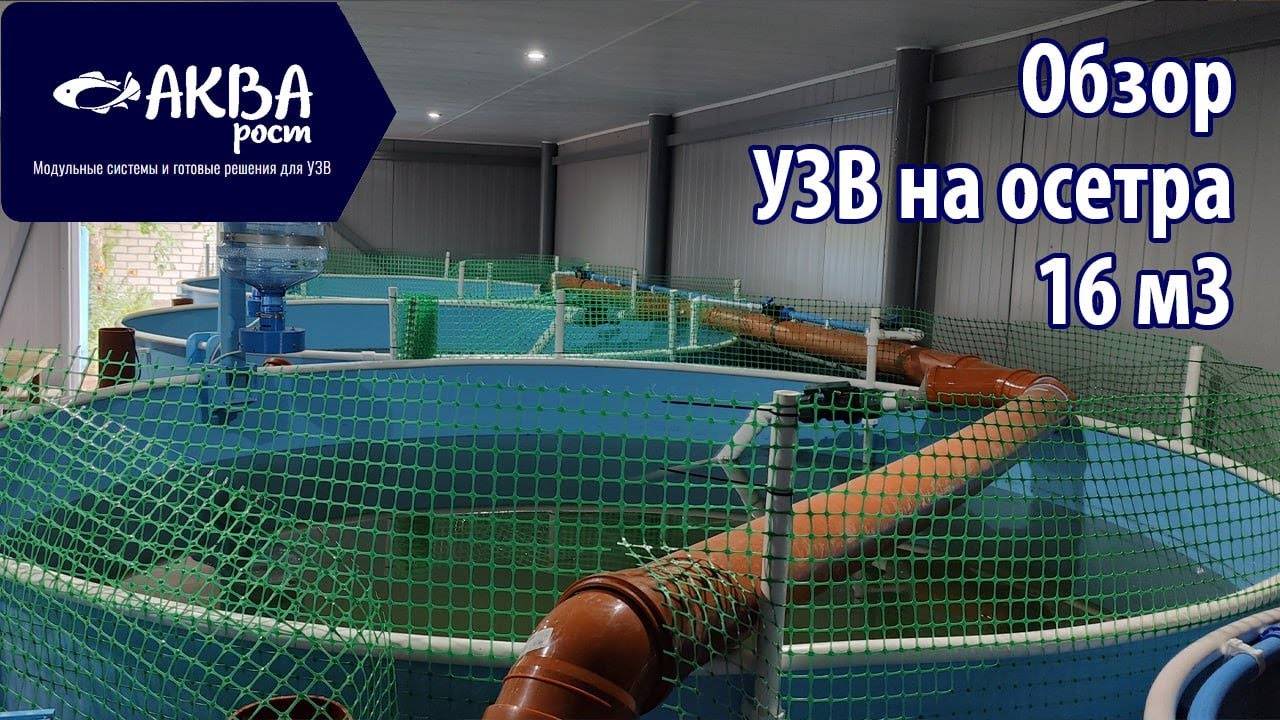 Полный обзор УЗВ на осетра 16 м3 #система #узв #акварост #бизнесвдеревне #рыбнаяферма
