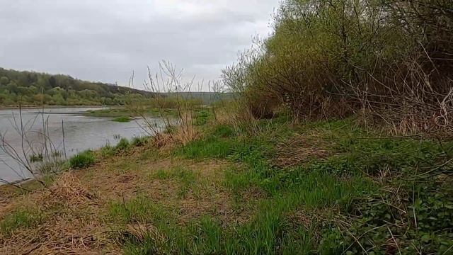 Походили с Димоном по берегу Оки