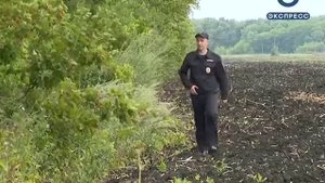 В Лунинском районе нашли потерявшегося ребенка