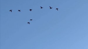 ВИДЕОВИЗИТКА ПОСЕЛКА ОЙУСАРДАХ