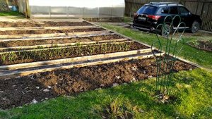 Заселяемся на дачу