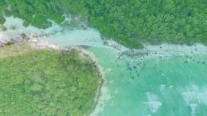 Mega Hits 2025 🌱 The Best Of Vocal Deep House Music Mix 2025 🌱 Summer Music Mix 2025 _39