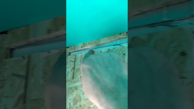 Работы в фургоне 16. смотреть онлайн