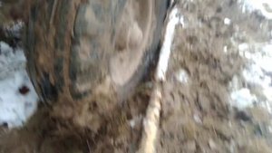 ЮМЗ 6 итог поездки в лес...